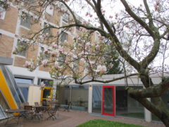 Weiterbildung in Frankfurt am Main
