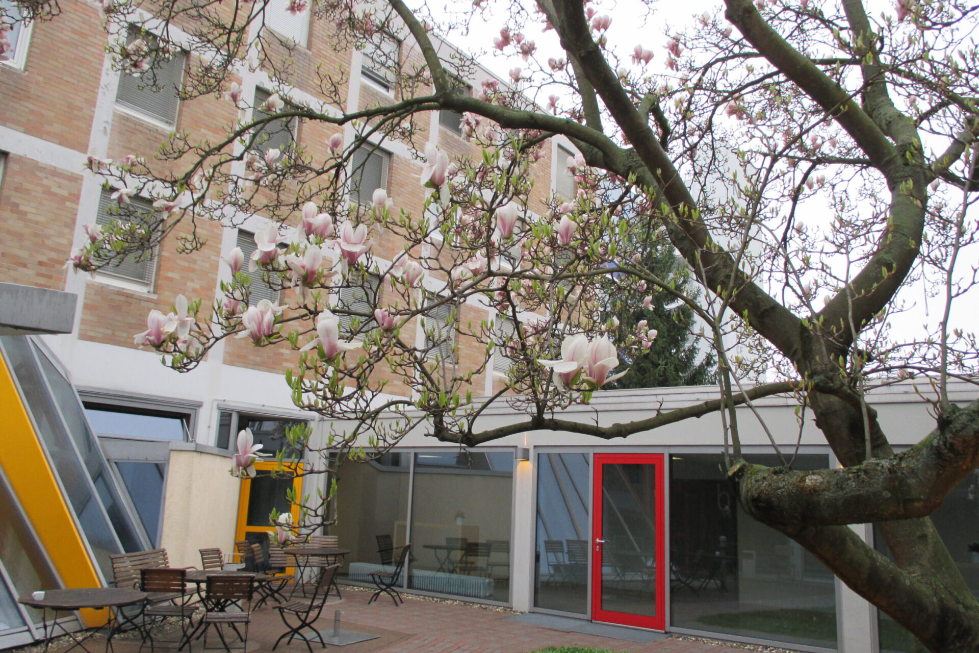 Weiterbildung in Frankfurt am Main